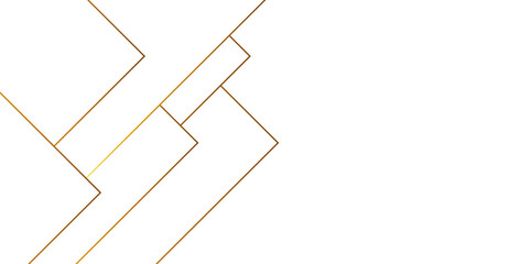 Abstract white grey and gold lines on light silver background modern design. Vector abstract futuristic digital landscape with gold lines. computer geometric digital connection design with gold lines.