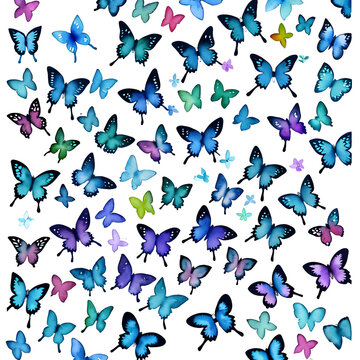 multi watercolor many little butterflies and little flower pattern - no BG