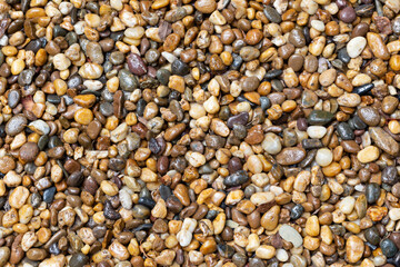 Shiny surface pebbles in various colors Use it as a background image.