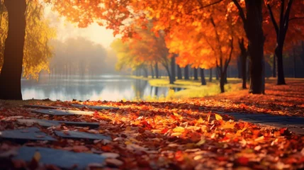 Poster Im Rahmen Beautiful autumn landscape with colorful foliage in the park © Veniamin Kraskov