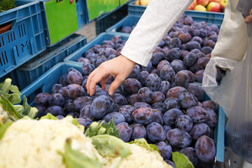 Woman's hand reaching for plums at the farmers' market