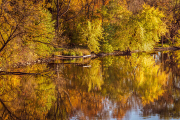 Riverside pier among autumn leaves