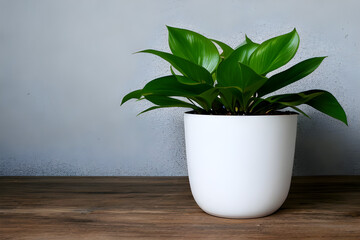 plant in a pot Generative AI