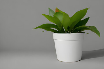 plant in a pot Generative AI
