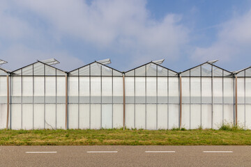 Fototapeta na wymiar Close Up of Dutch Greenhouse