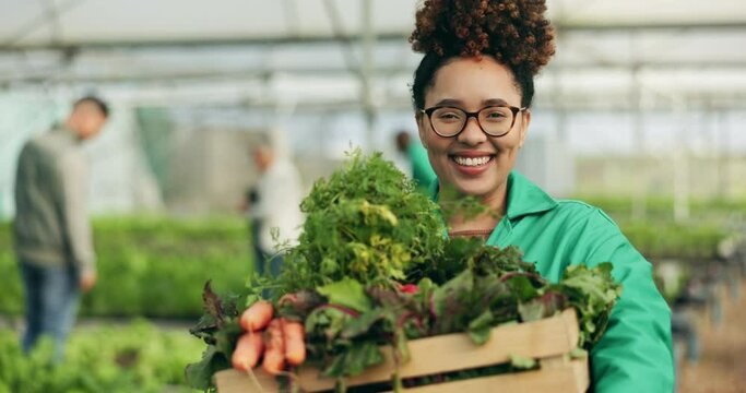 Farmer, woman and vegetables box of agriculture, sustainability or farming in greenhouse and agro business. Face of happy worker with gardening, green harvest or food development in groceries basket