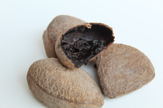 Inner part of dried seed of Pangium edule, spices in Indonesian cooking to make food become darker or black. Isolated on white background.