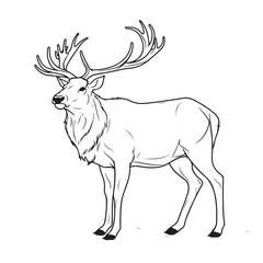 an elk that sits on a white background, in the style of black and white drawings