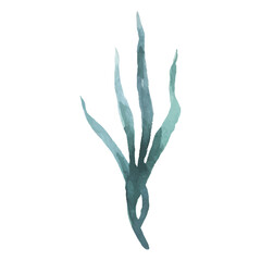 Watercolor Leaf Illustration