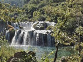 waterfall in the forest