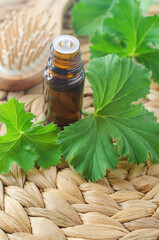 Small bottle with Geranium essential oil. Aromatherapy, homemade spa and herbal medicine ingredients.