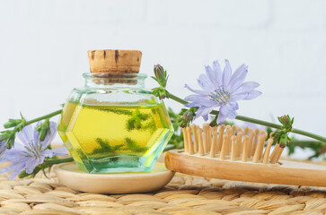 Small vintage bottle with masage oil (tincture, extract, infusion), wooden hairbrush and chicory flowers. Aromatherapy, natural hair care, homemade spa and beauty treatment.