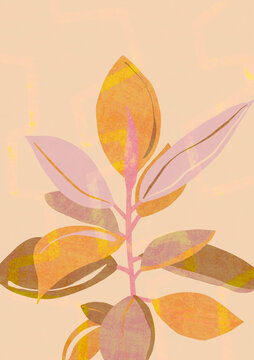 Botanical illustration house plant tropical leaf