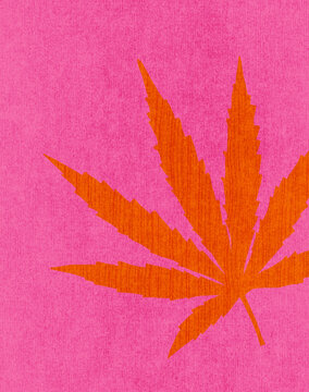 Drawing cannabis leaf on pink colorful backdrop