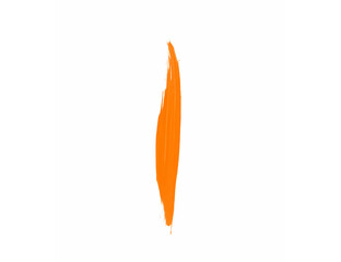 Orange watercolor brush on white background for draw