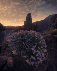 Atardecer en el Parque Nacional del Teide