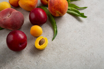 Summer fruits apricot plum peach on grey surface