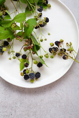 Overhead view of wild forest natural berry on plate