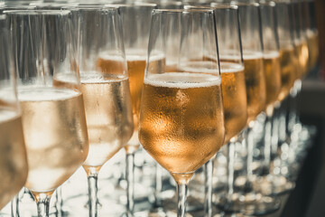A row of glasses filled with champagne are lined up ready to be served