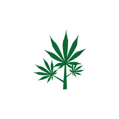 green cannabis leaf flyer vector logo design