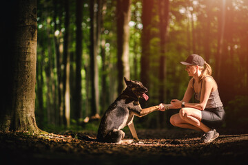 Dog friend with his owner. Adopted dog. Woman with a dog in the forest. A dog giving a paw to its young owner. Happy dog. - 640675873