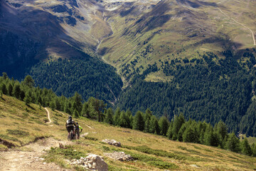 Obraz premium Bicycle path in the mountains. Cycling trip on MTB mountain bikes.