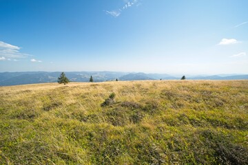 Pictures from the Belchen its a 1414m high mountain in the Black Forest. 