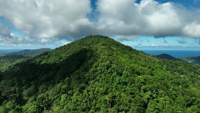 Aerial view Drone camera rainforest trees on high mountains, Ecology with healthy environment concept and summer background