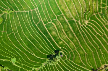 Tuinposter Aerial view of rice terraces in countryside and Forest behind. Soppeng Regency, South Sulawesi, Indonesia. © Hamka