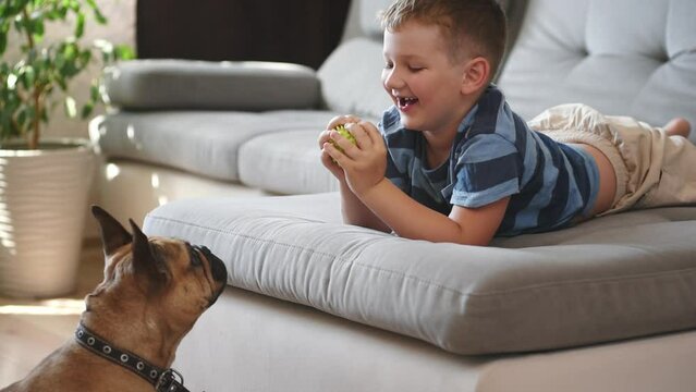 little boy and pet french bulldog playing with ball
