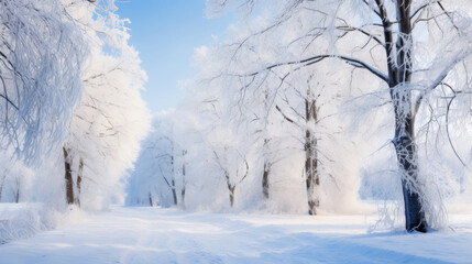 Beautiful winter landscape with snowy trees in the park