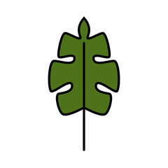 Monstera leaf plant illustration