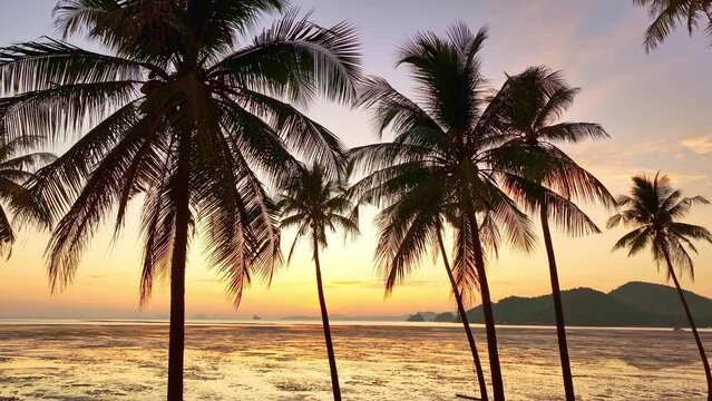 Silhouette coconut palm trees in beautiful sunset or sunrise sky over sea,Amazing light nature colorful clouds landscape,Beautiful light nature sky and clouds seascape,Sky clouds background