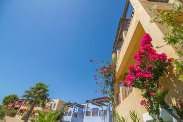 Crete, Greece, bougainville flowers and traditional buildings with blue sky (copy space)