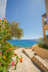 View of the turquoise mediterranean sea at the island of Crete, Greece, with traditional buildings and Lantana ‘Fruity Pebbles’ multicolor flowers, near Agios Nikolaos (vertical)