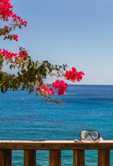 View of the turquoise mediterranean sea at the island of Crete, Greece, with pink bougainville flowers and diving mask (leisure activity)