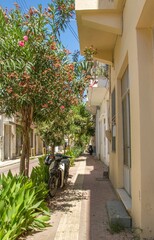 Street with lots of plants at Agios Nikolaos, Crete, Greece