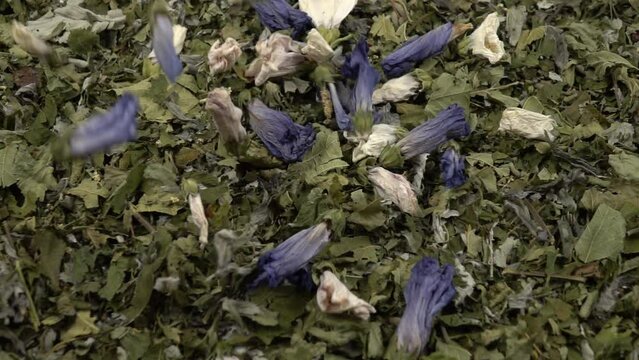Dry mallow flowers fall on crushed dry herbs for herbal tea, natural background, slow motion