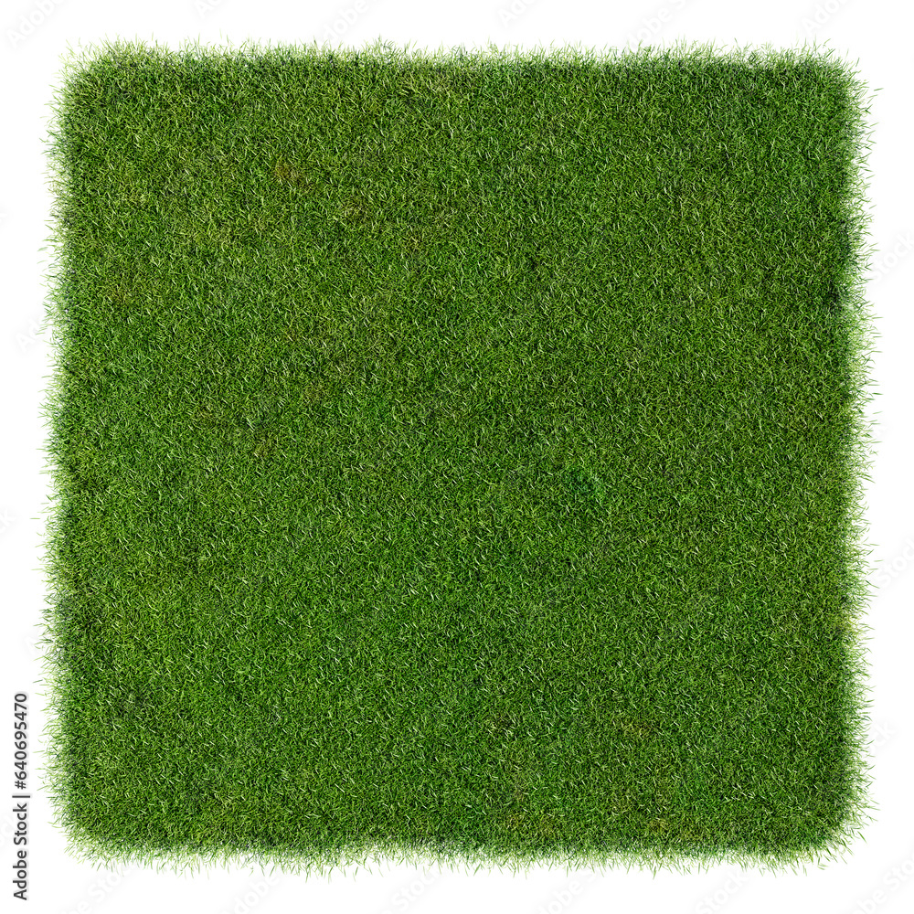 Poster Grass field top view on white background with clipping path, 3D illustration rendering 