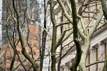 Fototapety na wymiar - Fototapeta24.pl