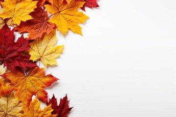 Naklejka na ściany i meble Autumn simple background with a pumpkins and fall leaves. Generative AI