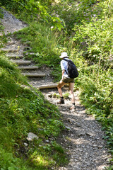 hiker going up, following a path in the Alps