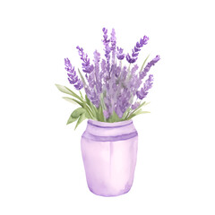 Watercolor vase with lavender bouquet flowers isolated on white background