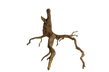 Brown wooden driftwood with many branches isolated on transparent background. PNG transparency