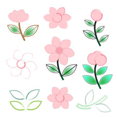 Set of watercolor style flowers and leaves