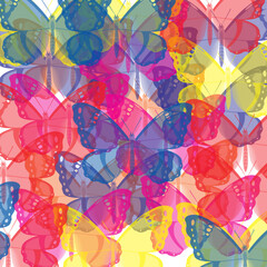 Fototapeta na wymiar Butterfly Wallpaper