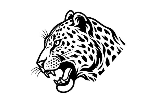Leopard head logotype or mascot hand drawn ink sketch. Engraving style vector illustration.
