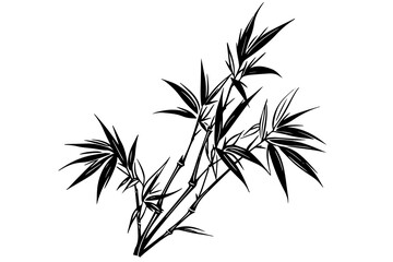 Fototapeta premium Hand drawn ink sketch of bamboo leaves and branches. Vector illustration.