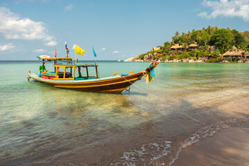 Fototapeta premium Sairee beach on Koh Tao Island in Thailand - tropical exotic paradise scenic sandy sunny beach landscape with local long-tail taxi boat in sea water on shore in the morning