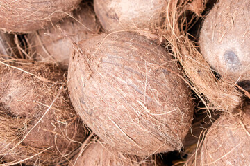 A closeup view of many brown coconuts in a bin. (selected focus)